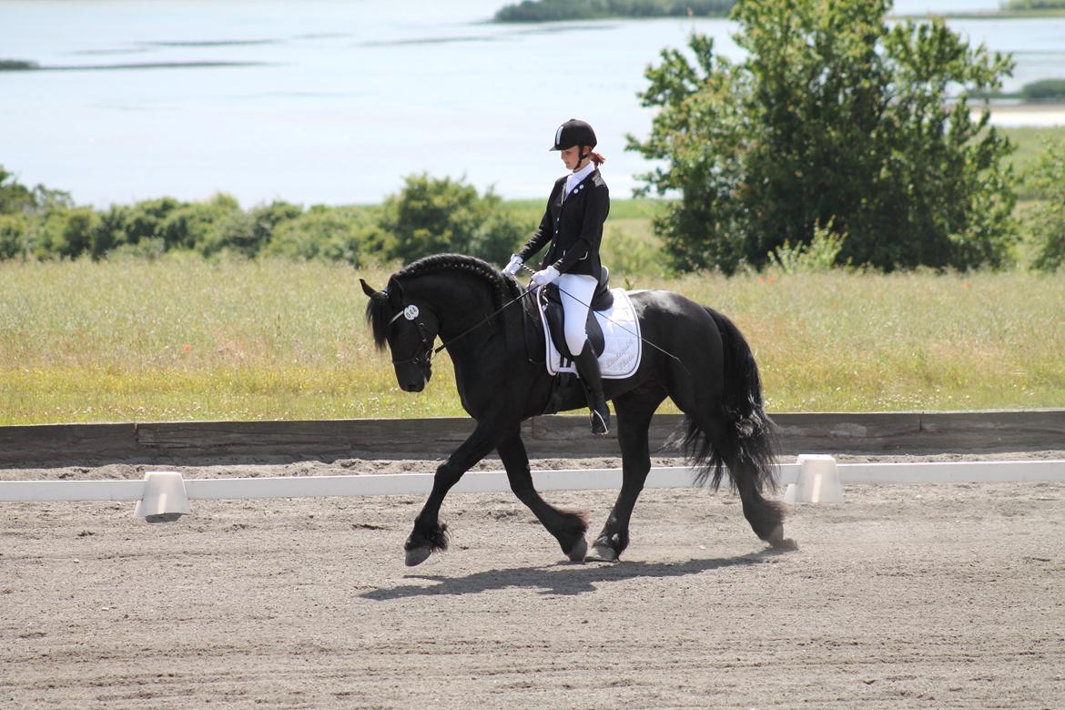 Frieser Derk Wietze V - Første dressurstævne nogensinde d. 22 juni 2014. billede 5