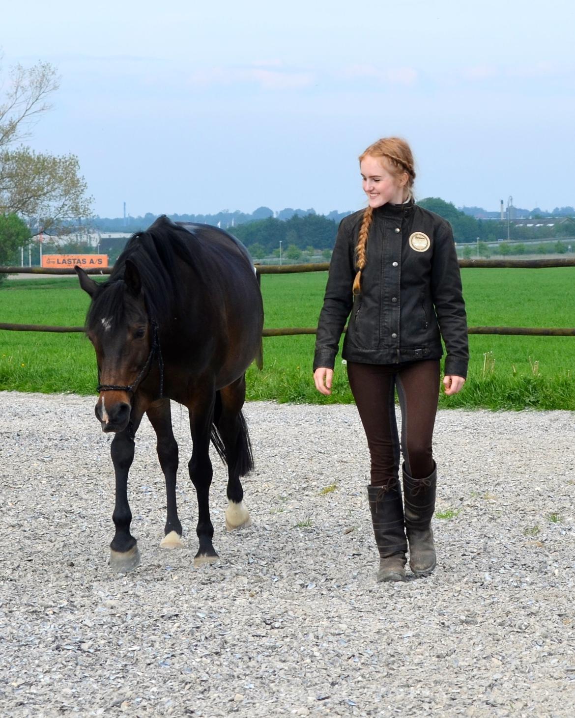 DSP Nekita (KitKat) billede 13