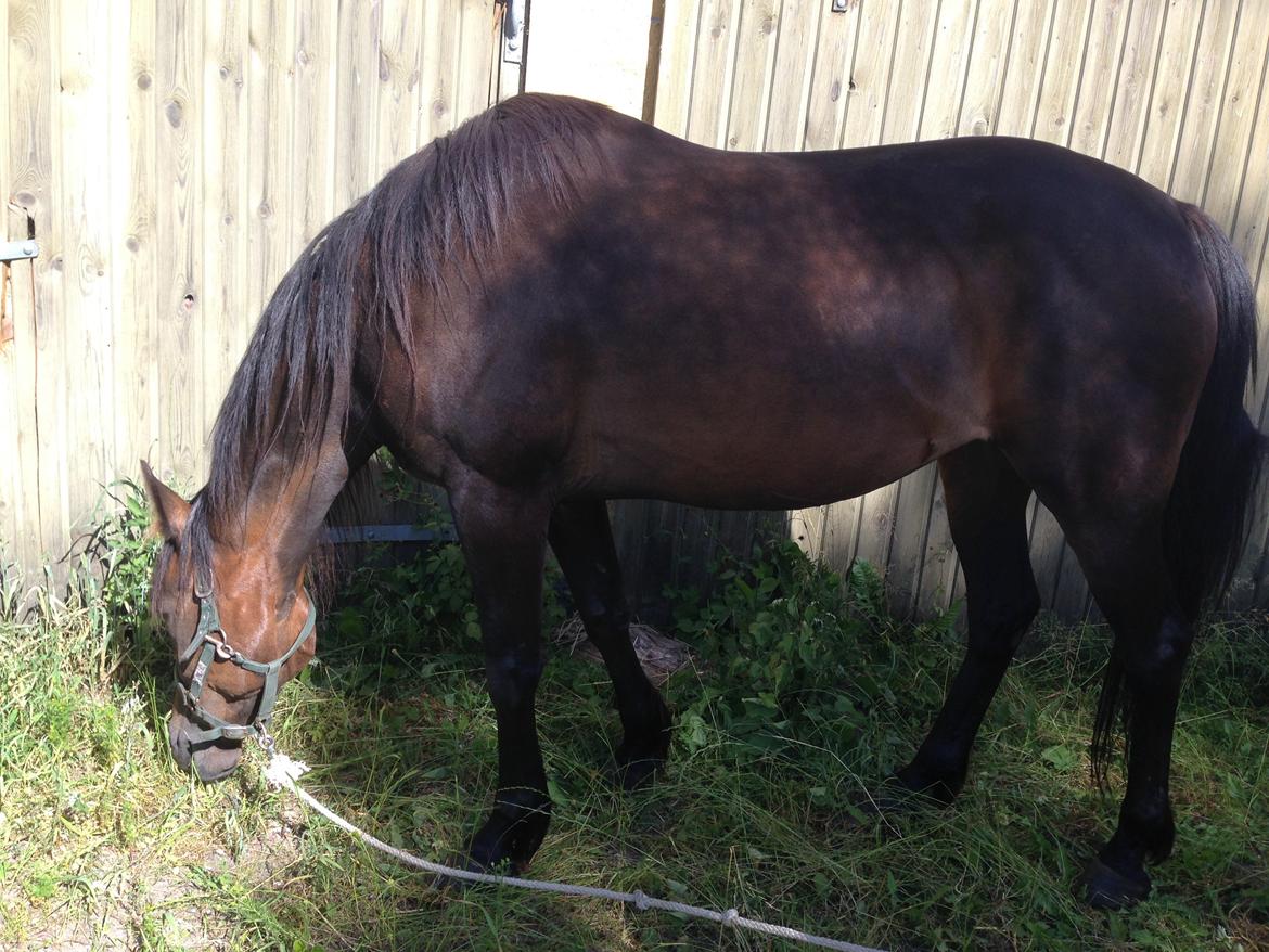 Traver jolie banker billede 2