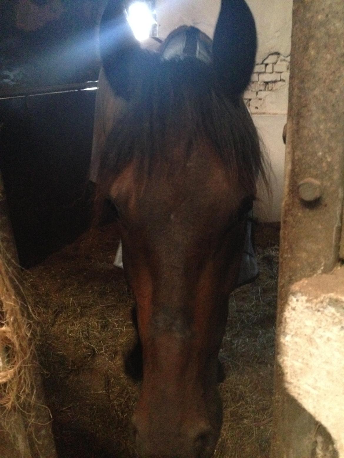 Traver jolie banker billede 3