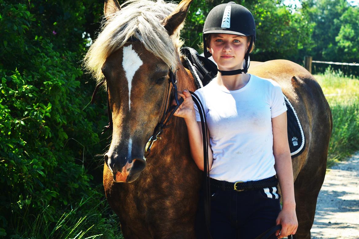 Anden særlig race Pippi - Turbo ponyen billede 5