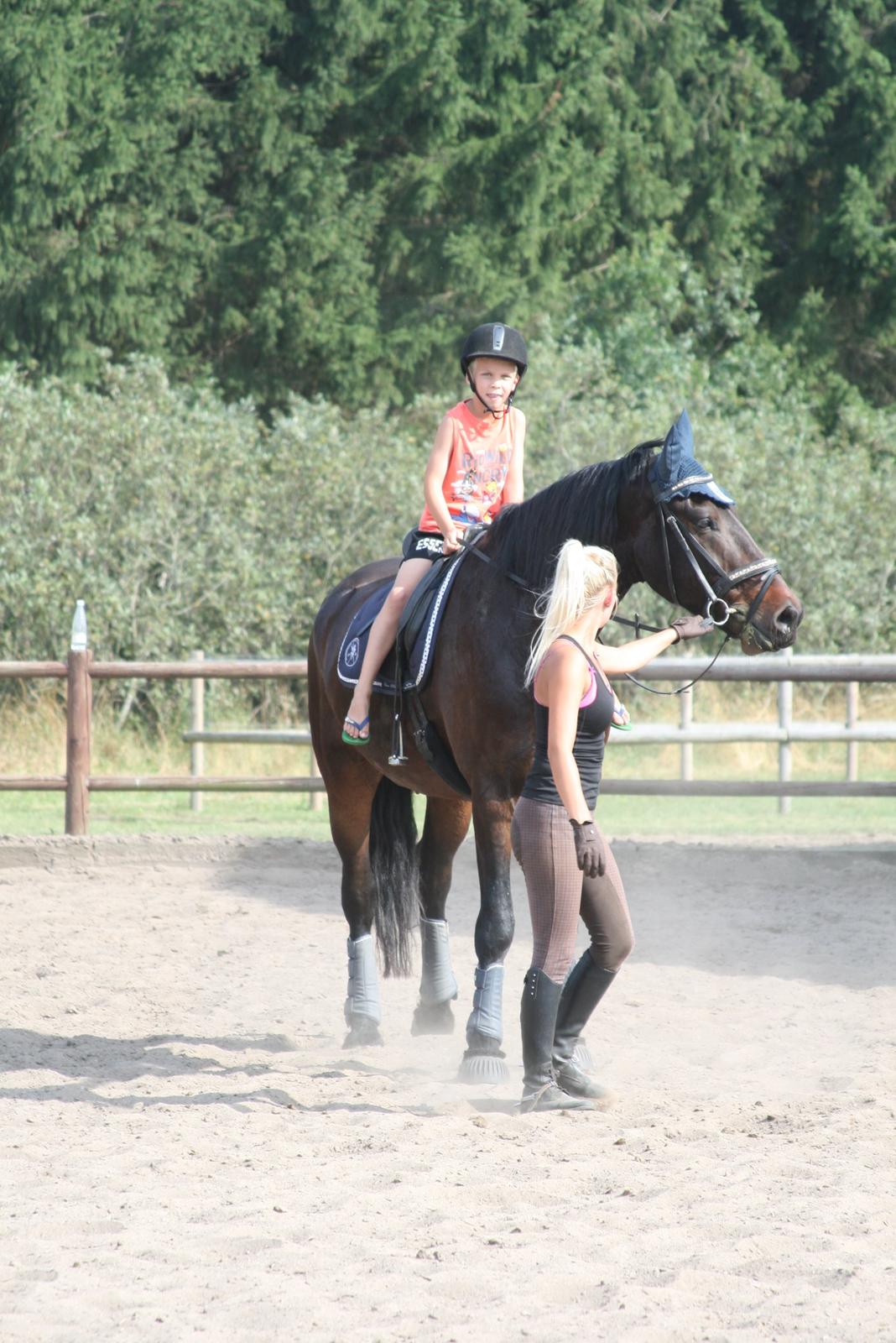 Barockpferd Enemærkes Cassanova *Tidligere hest* billede 12