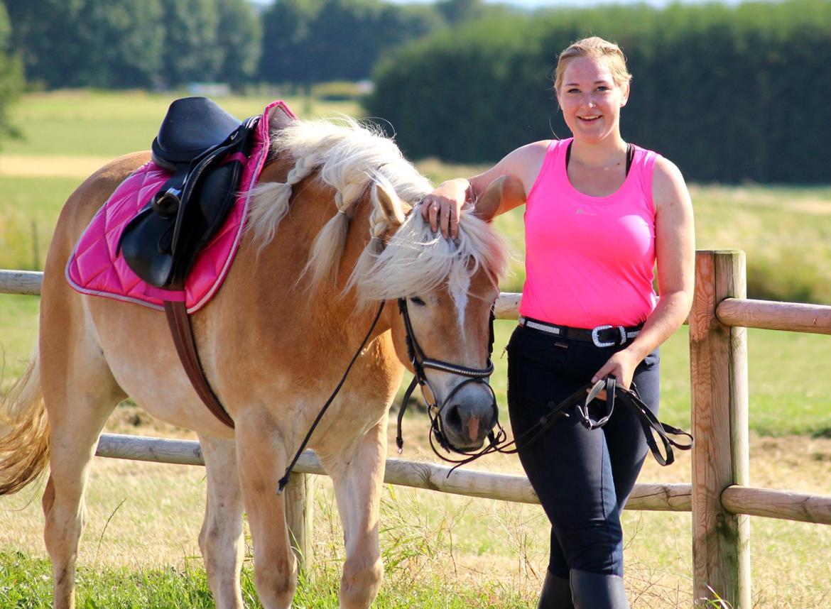 Tyroler Haflinger Hoya af Elghuset (Solgt) - Den skønneste lille fis! <3 billede 6