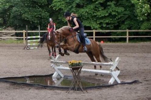 New Forest Kantje´s Isabella AKA Pony - Den store vandgrav! billede 3