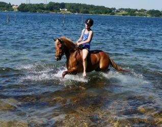 New Forest Kantje´s Isabella AKA Pony billede 11