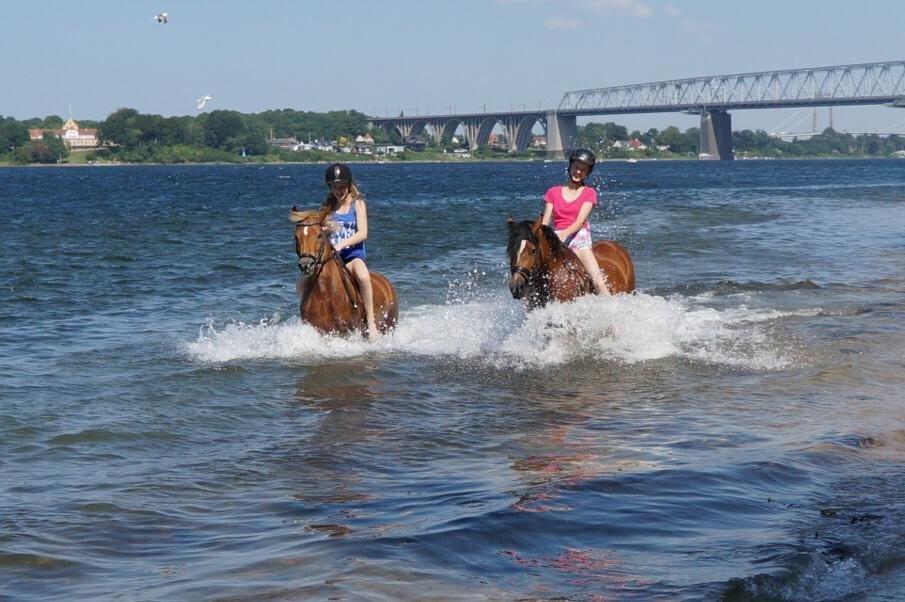 New Forest Kantje´s Isabella AKA Pony billede 16