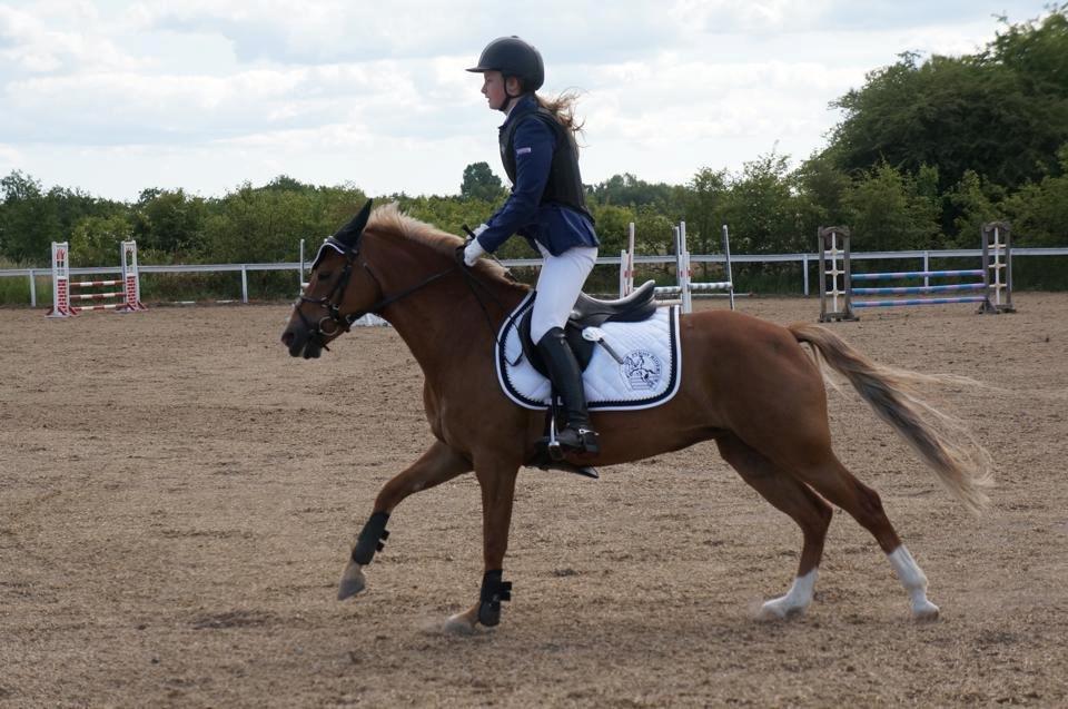 New Forest Kantje´s Isabella AKA Pony - FM for hold. billede 9