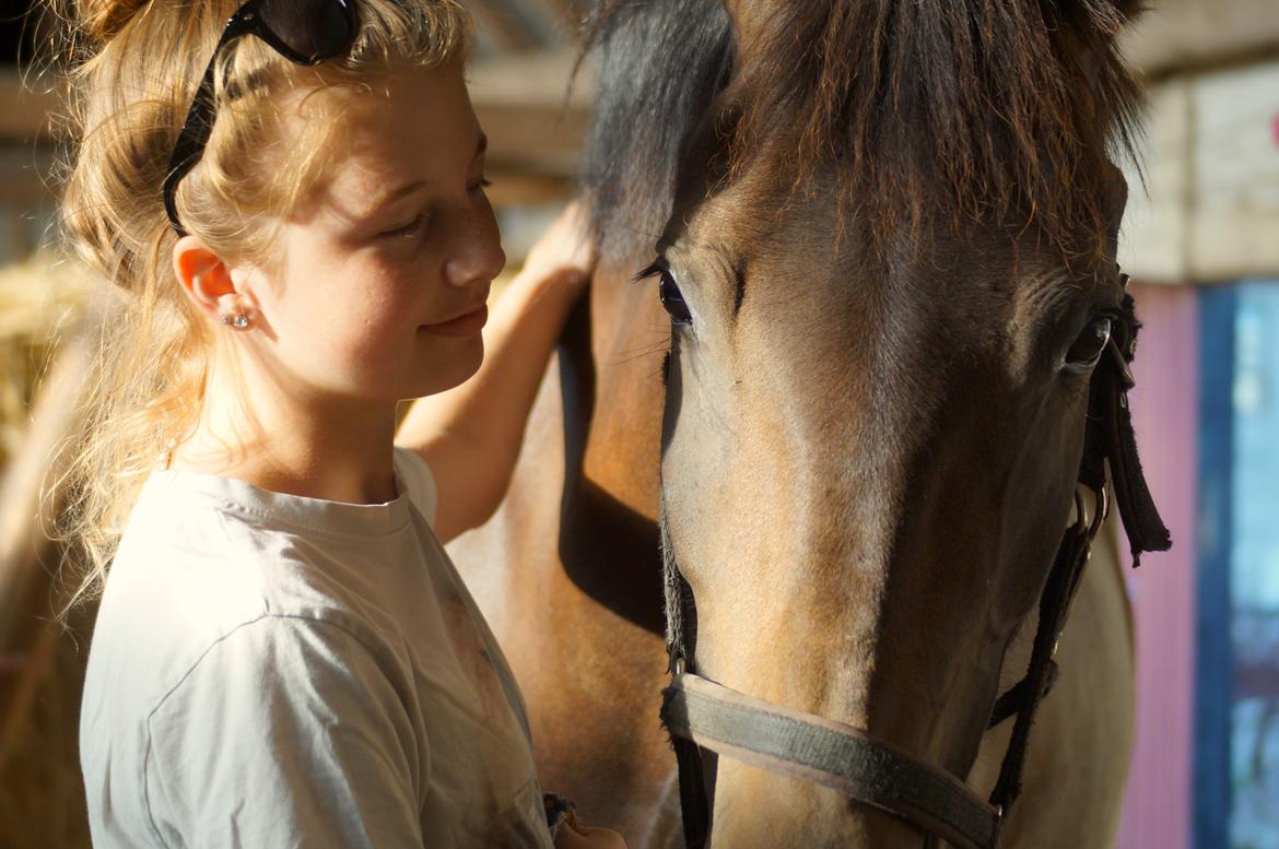 New Forest *Elmholts Odeth* Himmelhest - My soulmate for life <3 billede 5