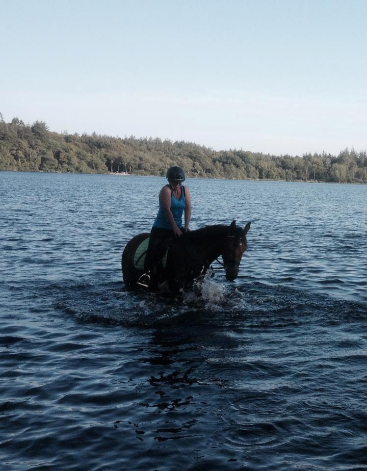 Anden særlig race Søndervangs Kentucky - Vores første tur i vandet :) Juli 2014 billede 9