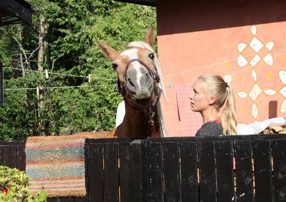 Anden særlig race Wilma billede 3