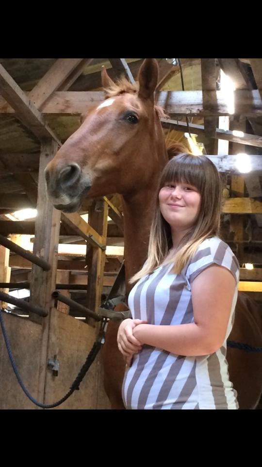 Dansk Varmblod Sunshine - <3 billede 19