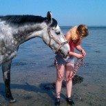 Hollandsk Varmblod Dacorde M billede 11