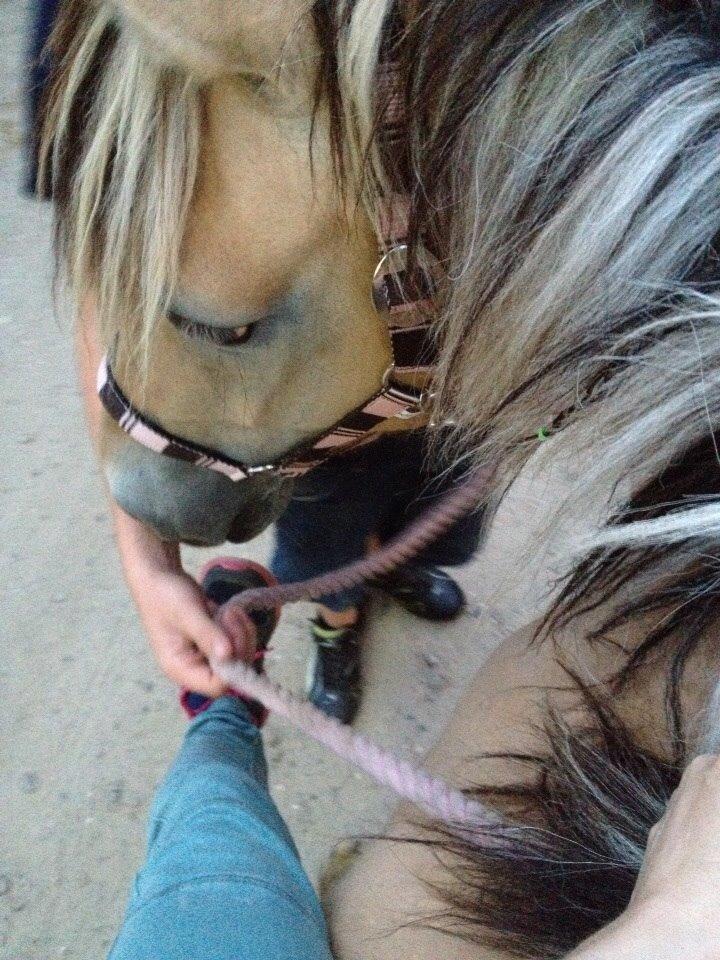 Anden særlig race Dunkans Galina<3 solgt billede 9