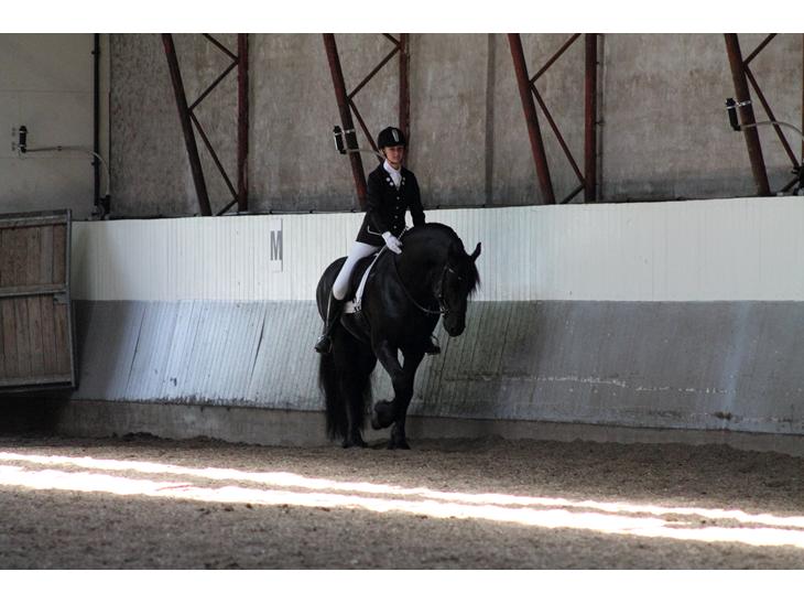 {{currentPhoto.altText}} billede {{currentPhoto.number}}