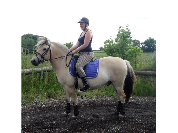 {{currentPhoto.altText}} billede {{currentPhoto.number}}