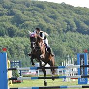 Dansk Varmblod Dancer Dia-Bell