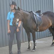 Anden særlig race Black Rose