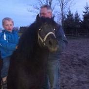 Anden særlig race Princess Izamia