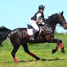 Oldenborg Isabella af mindet