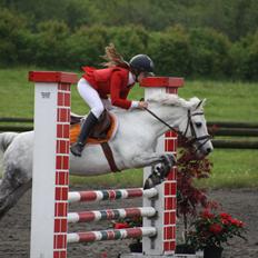 Anden særlig race Lyngdalgårds Star light<3<3!!!