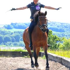 Anden særlig race Minnie