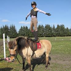 Anden særlig race Freja (mit et og alt)<3