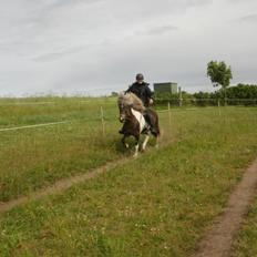 Islænder Sölvi fra Bjerget