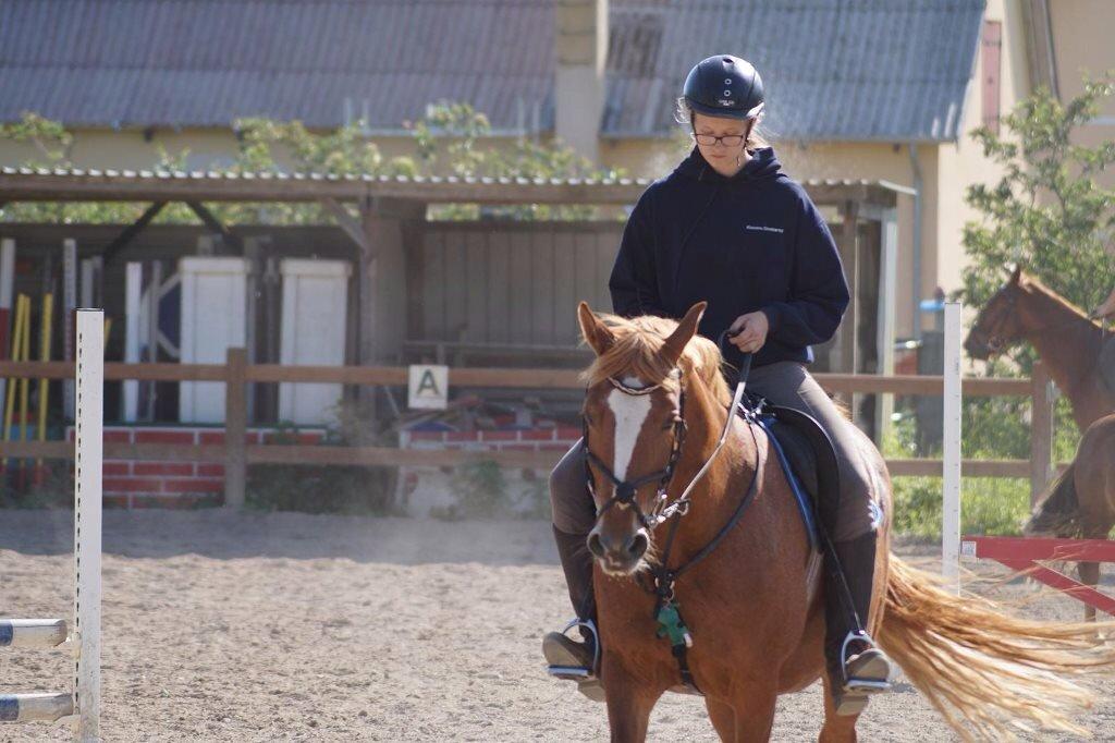 Frederiksborg Bitten Hegnsbo (lånehest) 'soulmate' billede 3