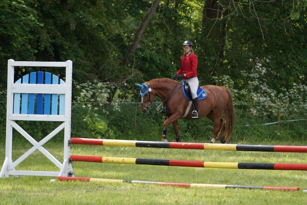 Frederiksborg Bitten Hegnsbo (lånehest) 'soulmate' billede 11