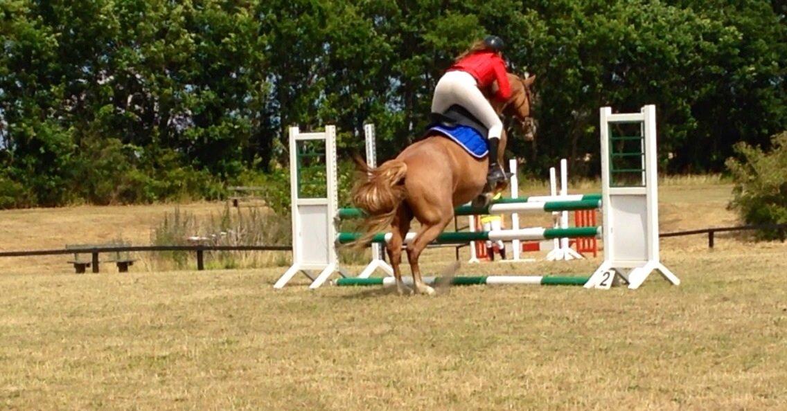 Frederiksborg Bitten Hegnsbo (lånehest) 'soulmate' billede 23