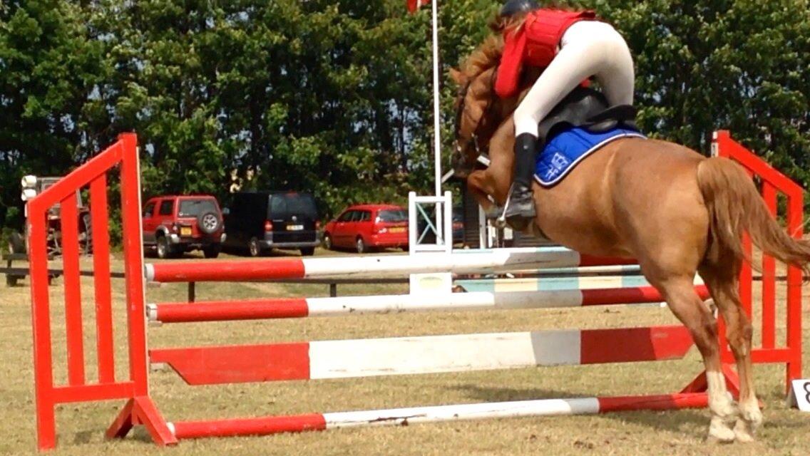 Frederiksborg Bitten Hegnsbo (lånehest) 'soulmate' billede 24