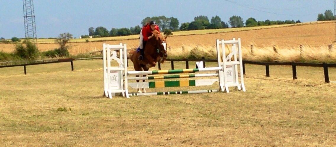 Frederiksborg Bitten Hegnsbo (lånehest) 'soulmate' billede 26