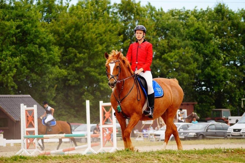 Frederiksborg Bitten Hegnsbo (lånehest) 'soulmate' billede 28