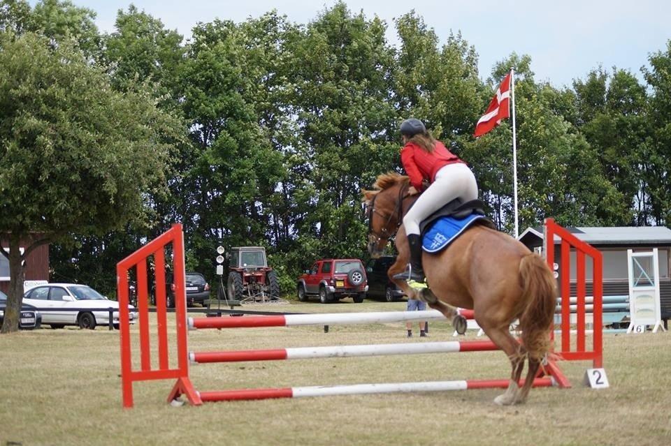 Frederiksborg Bitten Hegnsbo (lånehest) 'soulmate' billede 29