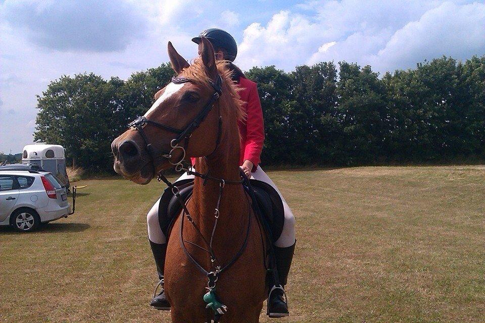 Frederiksborg Bitten Hegnsbo (lånehest) 'soulmate' billede 30