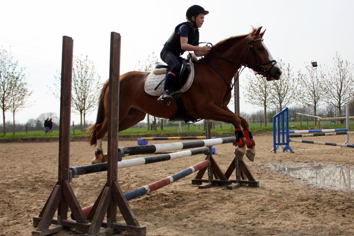 Anden særlig race Fie billede 1
