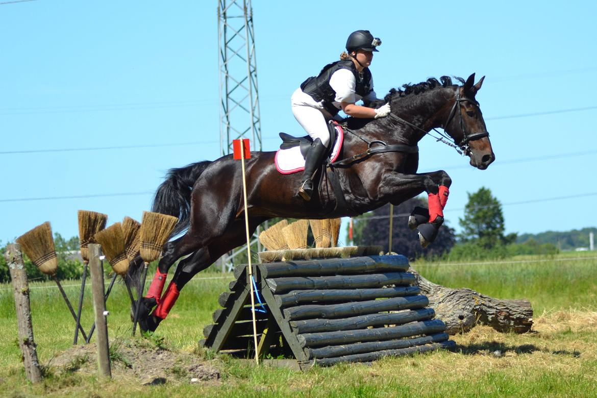 Oldenborg Isabella af mindet billede 3