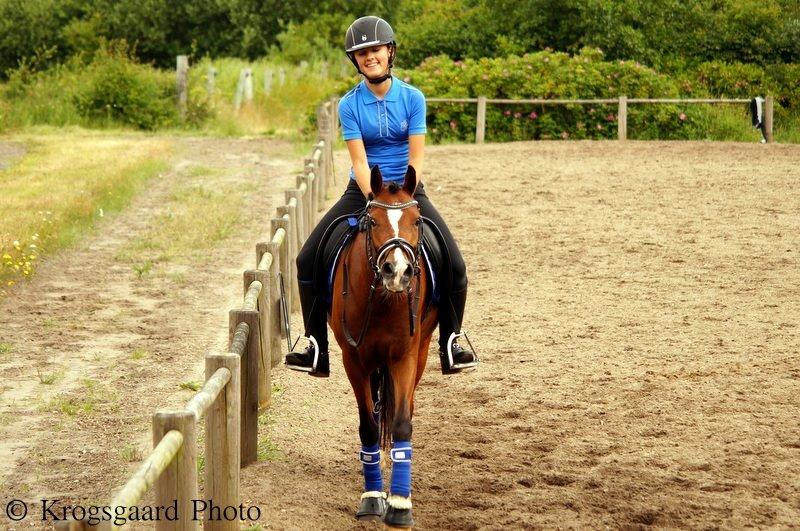 Welsh Partbred (Sec F) Katrinebjergs Ronja   A-pony - Tak for endnu en skøn ridetur Ronja :-) Hos Vibsen 2014 billede 39