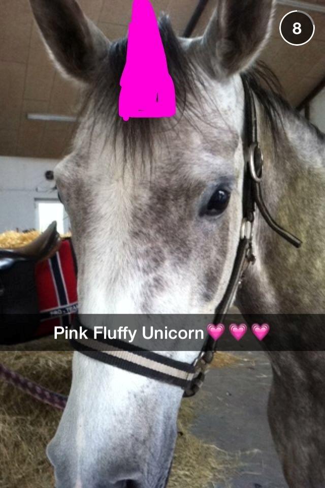 Anden særlig race Spirit - Pink fluffy unicorn <3 billede 4
