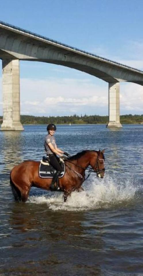 Tysk Oldenburger Gørklintgårds Leander - Han er en rigtig vandhund billede 5