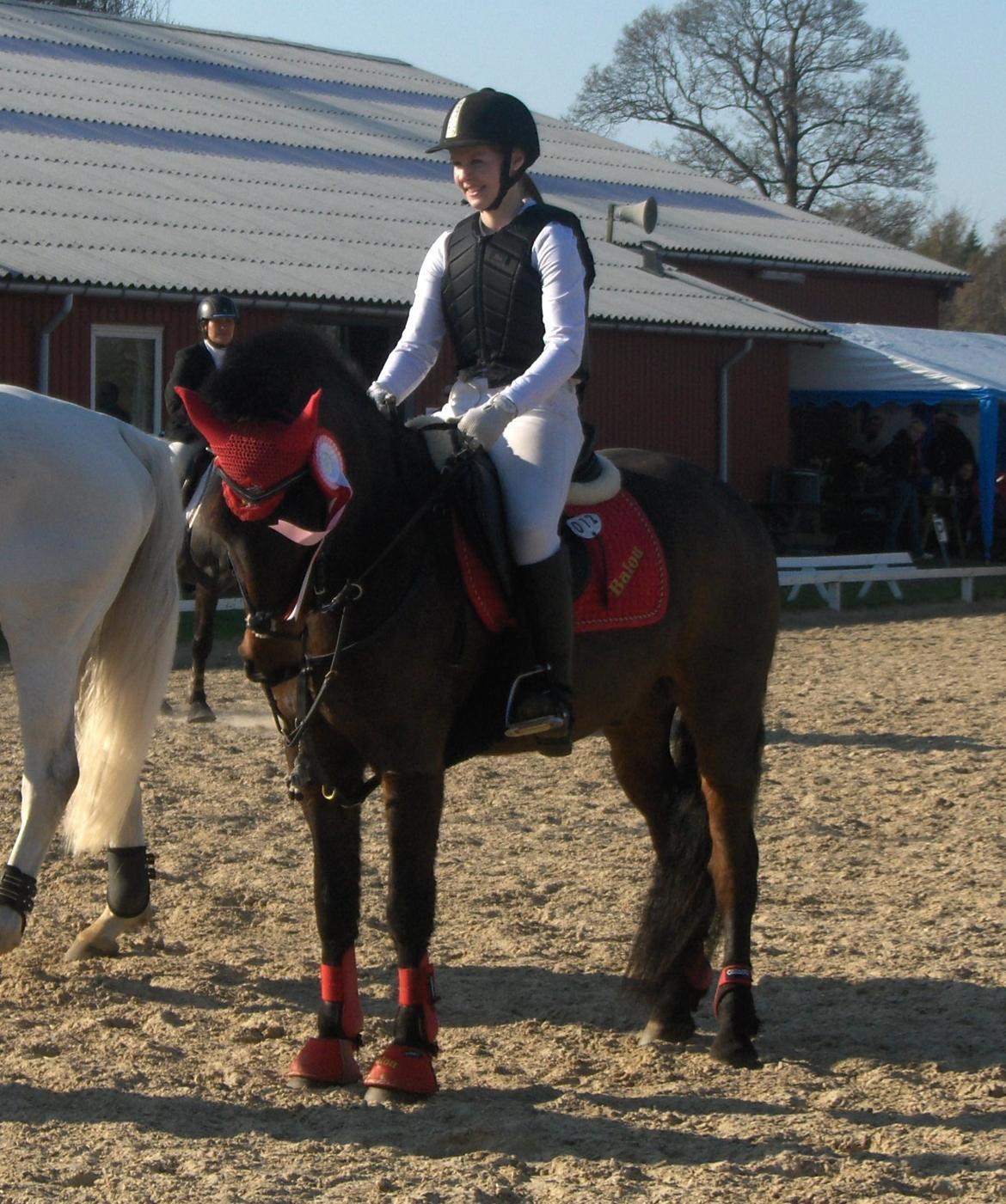 Anden særlig race Balou billede 18