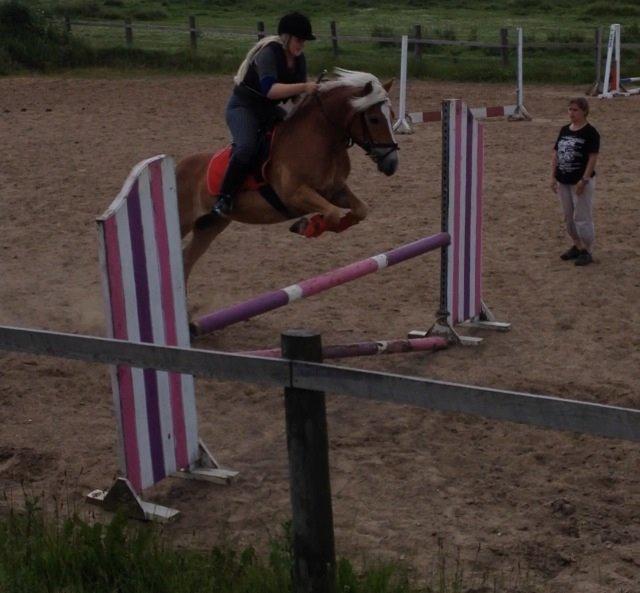 Haflinger Blue Star <3 - Lidt hygge spring hjemme på MGR(: billede 11