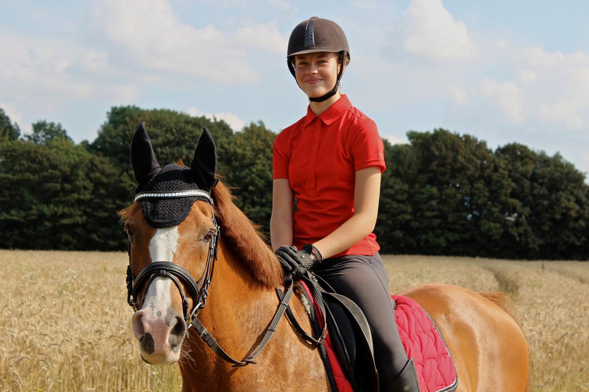 Arabisk fuldblod (OX) Stuntvil OX - Sommeren 2014, Mette Wenzelsen & Stuntvil OX billede 3