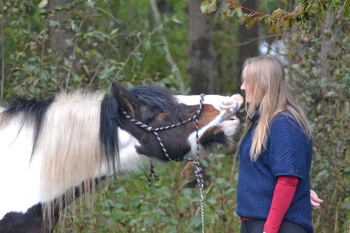 Tinker Mister Charlie - :) (Foto: Tina Eklund Jacobsen) billede 19