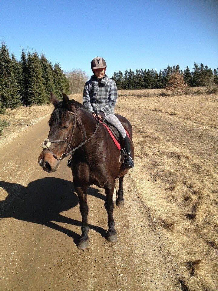 Anden særlig race Chanell  billede 21