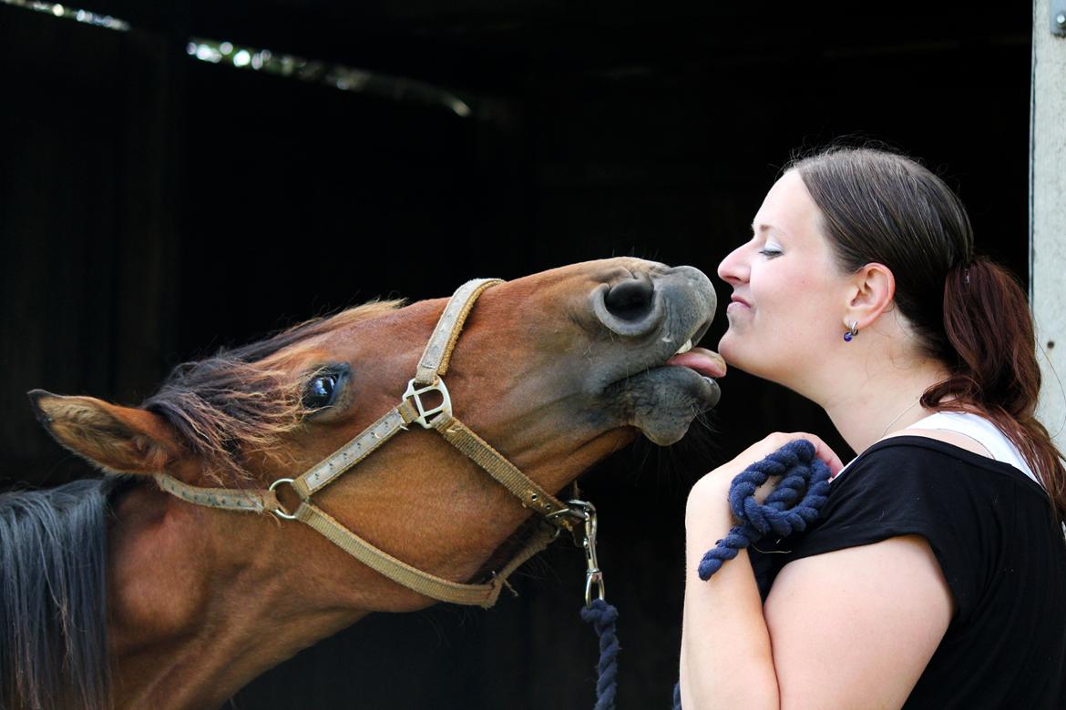 Dansk Varmblod Angel of music (SOLGT) *For evigt elsket <3* - NYT: Mys mys :D billede 32