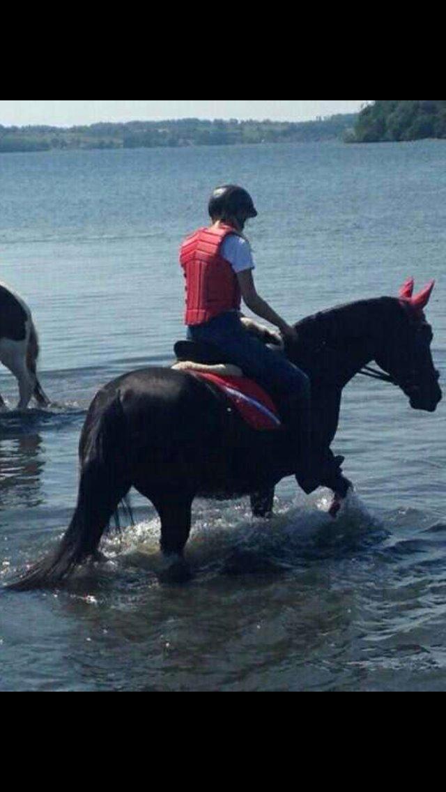 Anden særlig race Alanya - Mig og Munne ude at bade for første gang, hun var så sød. billede 1