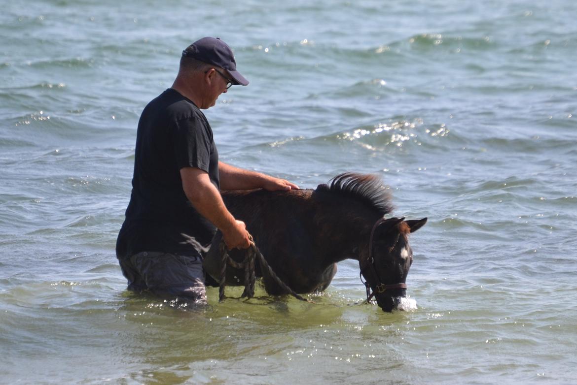 New Forest Fuglsangs Sweet Cookie - Cookie laver bobler :D billede 10