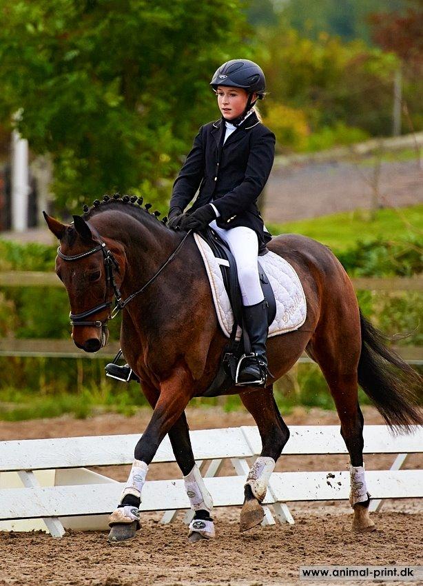 Anden særlig race Dücell - Første udenbys dressurstævne på Birkedal Ridecenter :D Vi fik en delt andenplads <3 billede 12