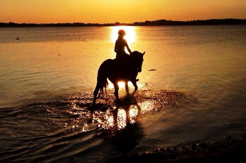 Anden særlig race Dücell - Ude at bade i Marbæk sommer 2014 <3 billede 5